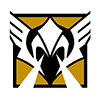 Icône de Valkyrie